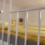 Happy Store - Zentral, Orginell, Gemuetlich